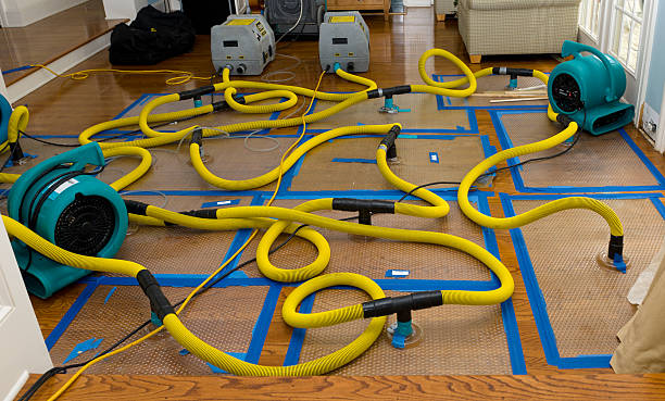 Professional Structural Drying And Dehumidification technician working in Kensington, MD